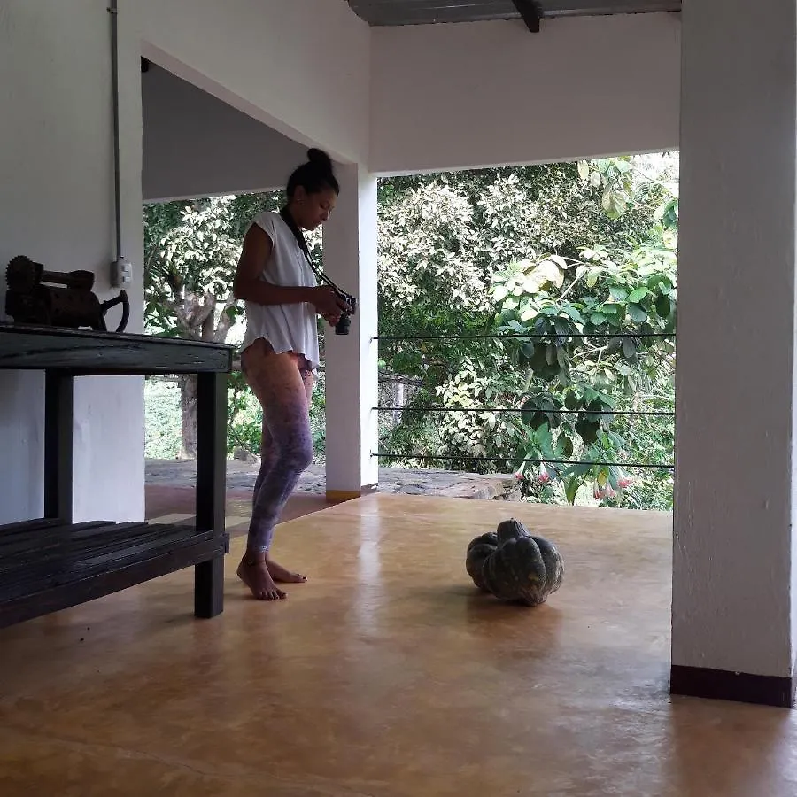Country house Casa Alibri Guest House Santa Marta  Colombia