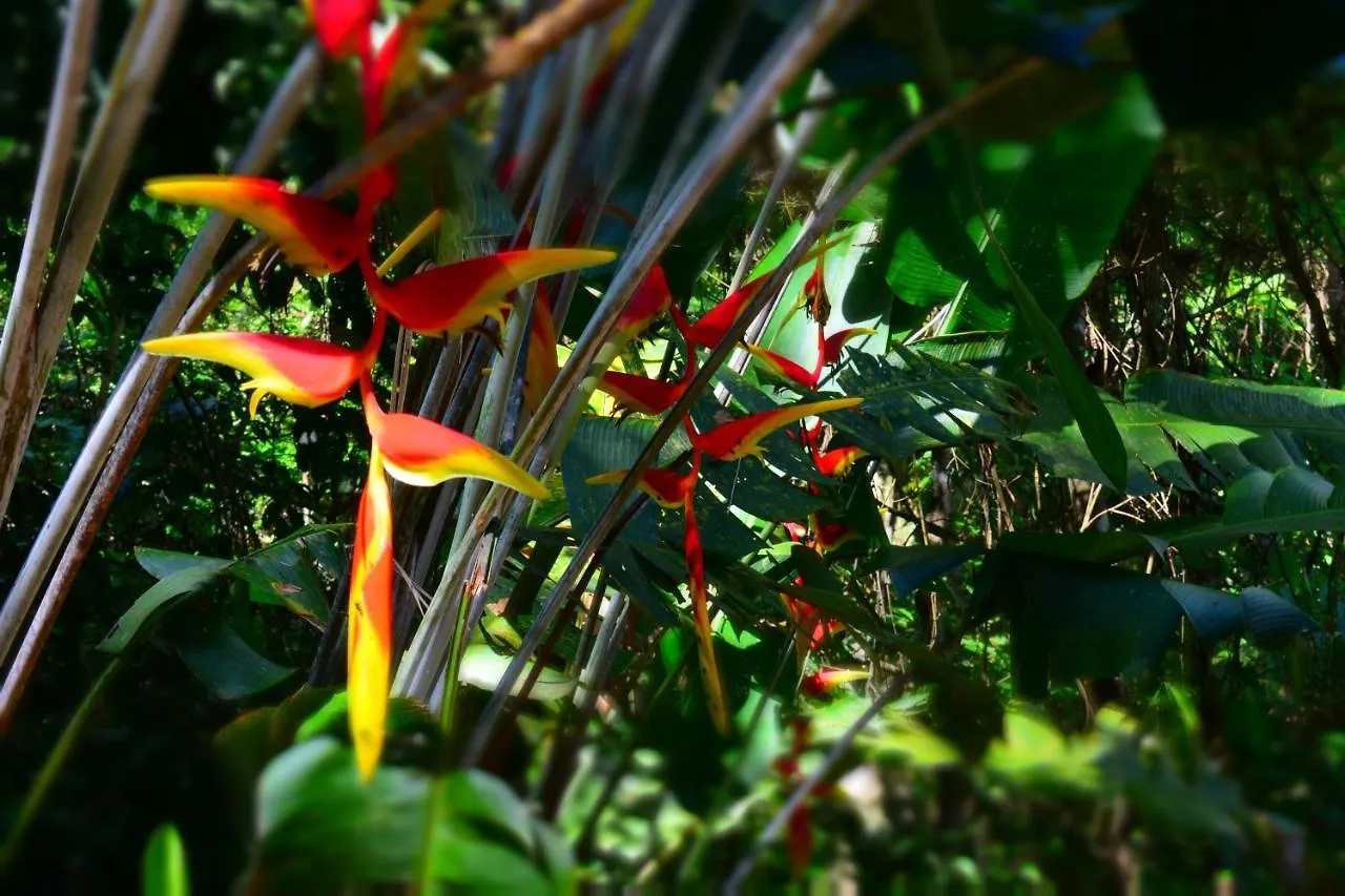 Country house Casa Alibri Guest House Santa Marta  Colombia